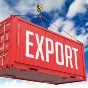 Group logo of Easy Export